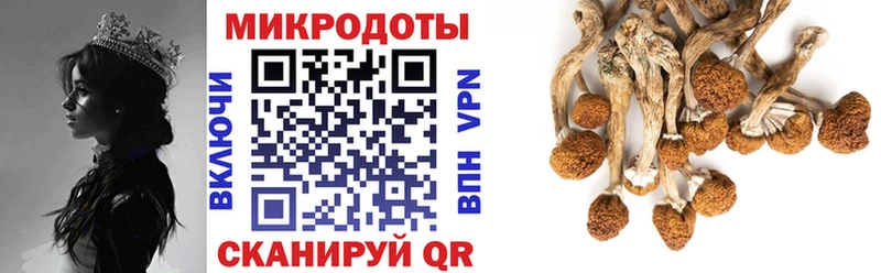 купить наркотики цена  кракен рабочий сайт  Псилоцибиновые грибы мухоморы  Заозёрск 